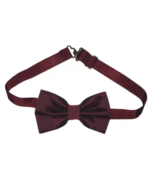 Noeud papillon bordeaux