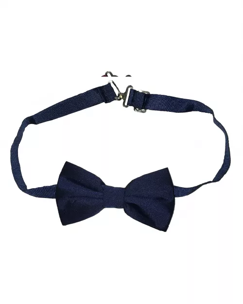 Noeud papillon bleu
