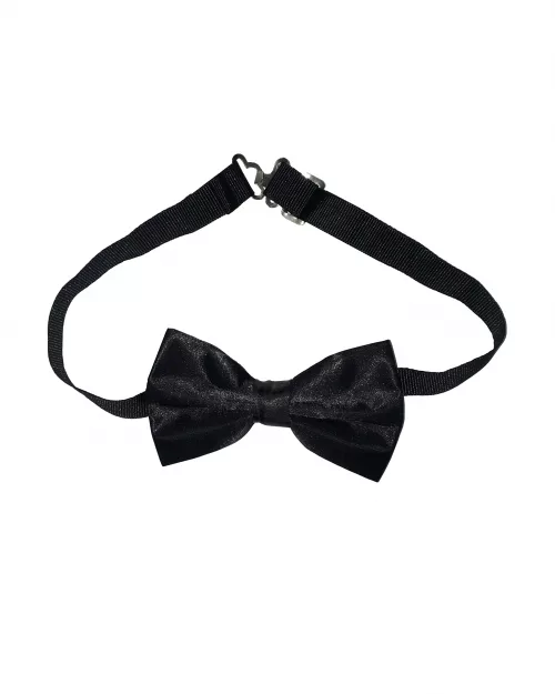 Noeud papillon noir