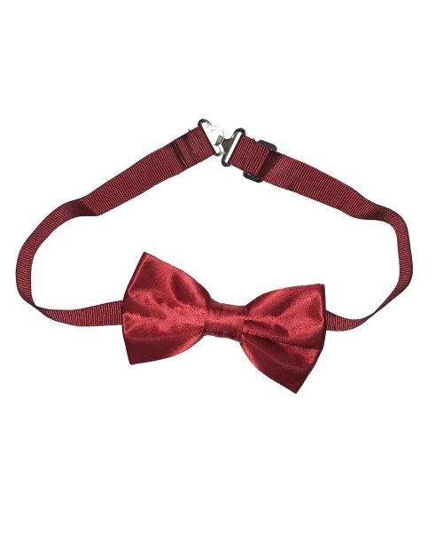 Noeud papillon rouge